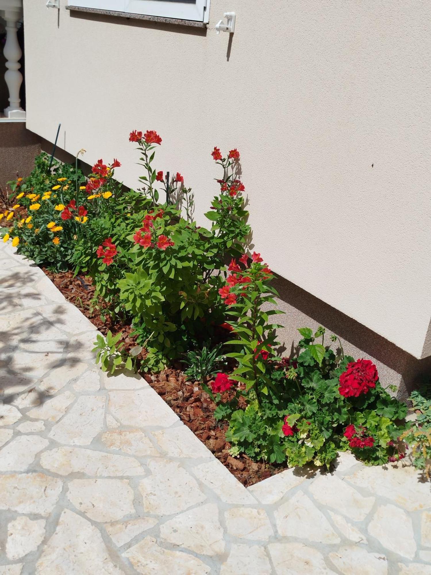 Apartments Juric بريفلاكا المظهر الخارجي الصورة